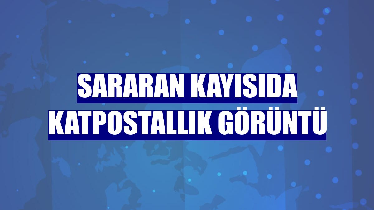 Sararan kayısıda katpostallık görüntü