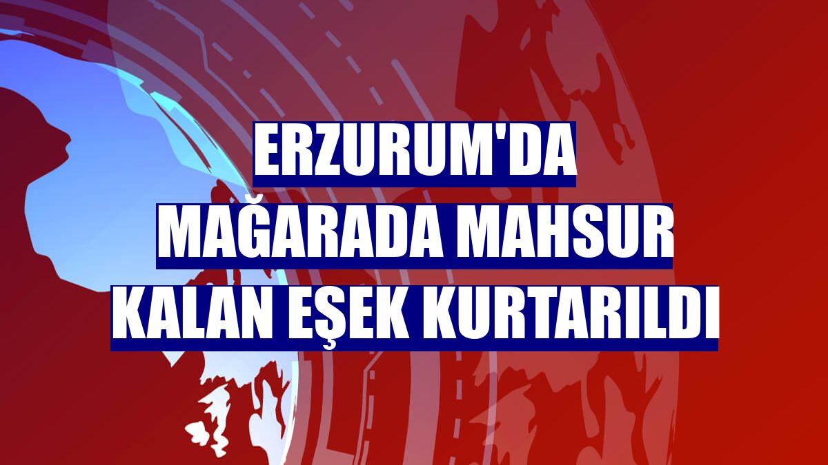 Erzurum'da mağarada mahsur kalan eşek kurtarıldı