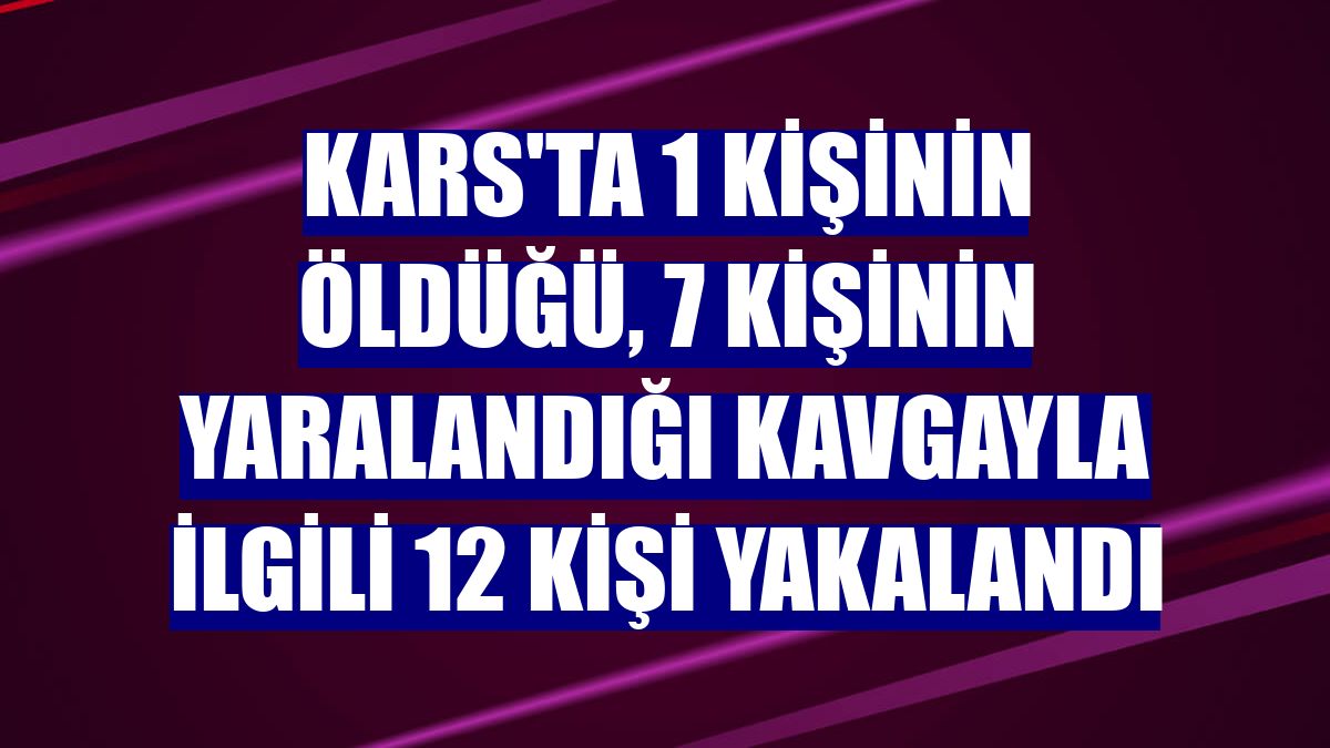 Kars'ta 1 kişinin öldüğü, 7 kişinin yaralandığı kavgayla ilgili 12 kişi yakalandı