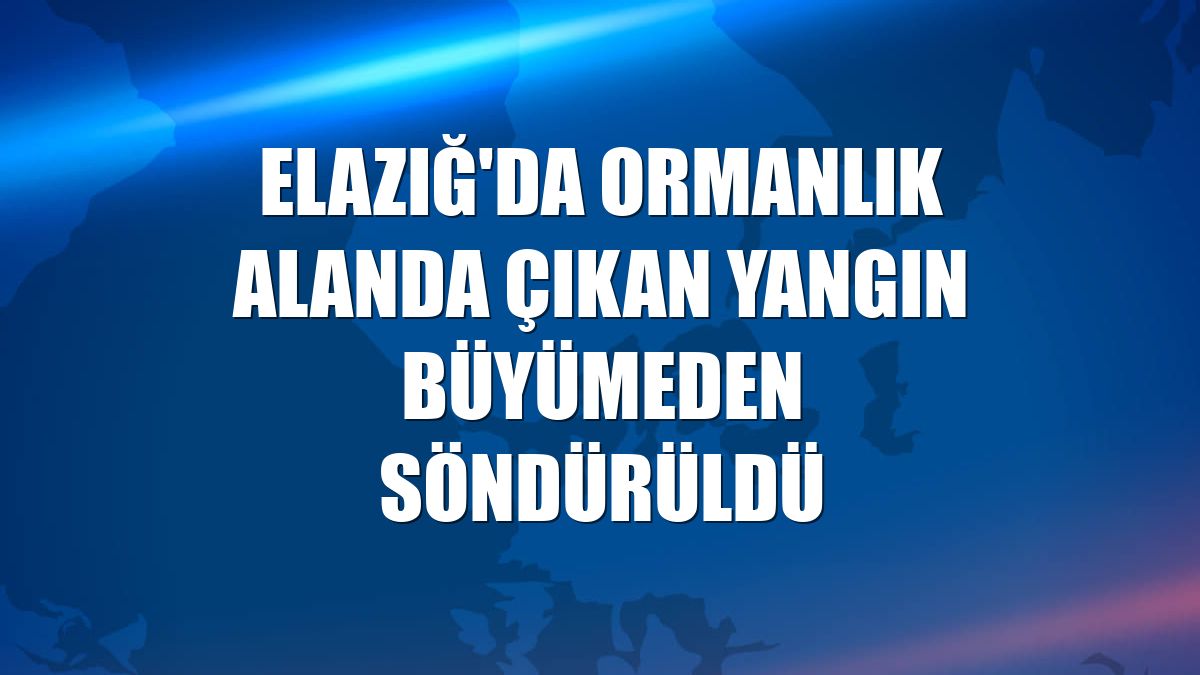 Elazığ'da ormanlık alanda çıkan yangın büyümeden söndürüldü