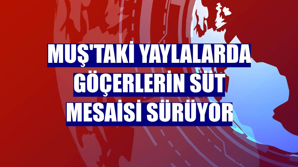 Muş'taki yaylalarda göçerlerin süt mesaisi sürüyor