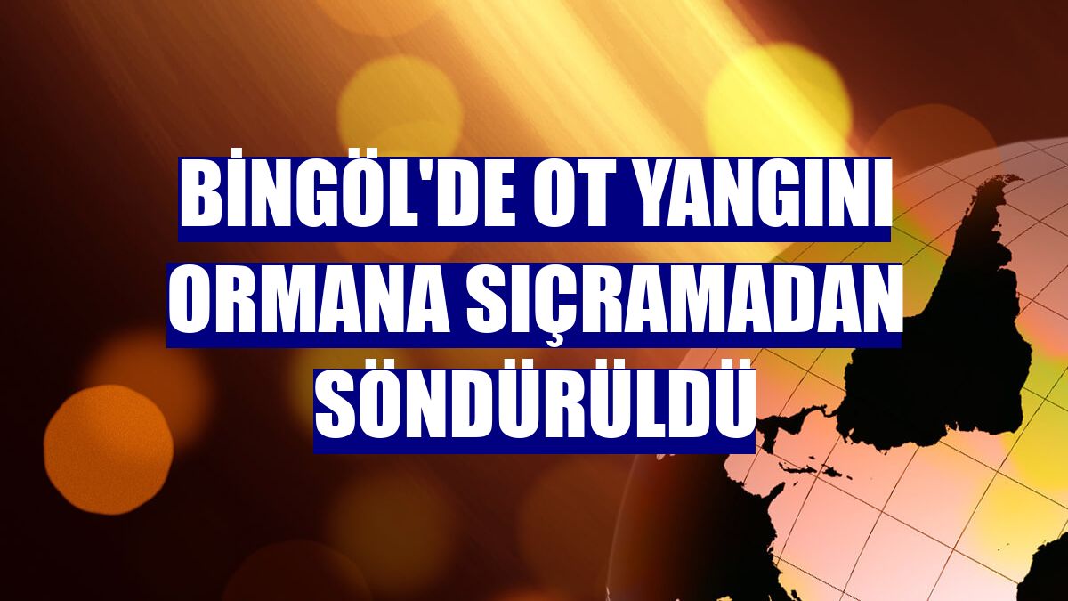 Bingöl'de ot yangını ormana sıçramadan söndürüldü