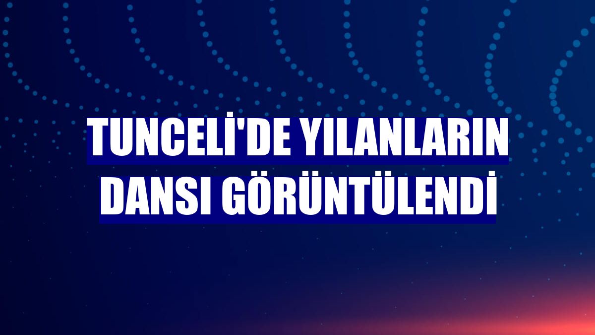 Tunceli'de yılanların dansı görüntülendi