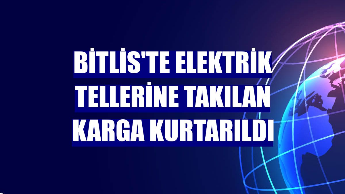 Bitlis'te elektrik tellerine takılan karga kurtarıldı