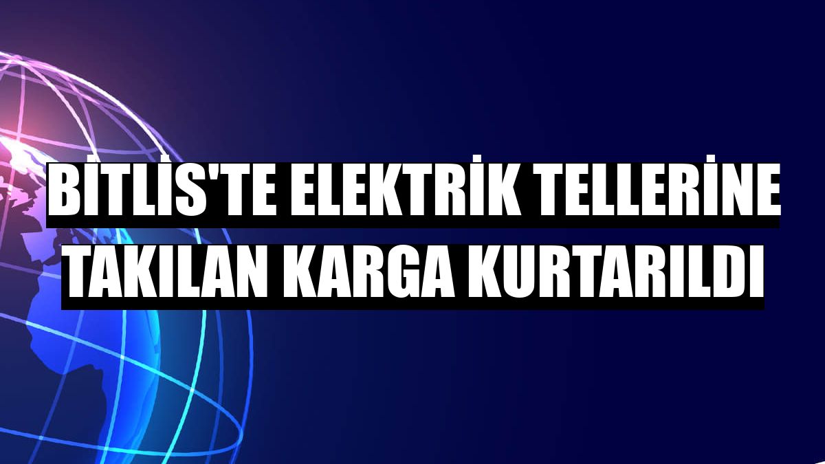 Bitlis'te elektrik tellerine takılan karga kurtarıldı