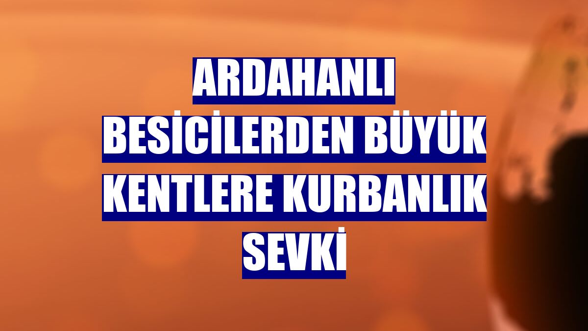 Ardahanlı besicilerden büyük kentlere kurbanlık sevki