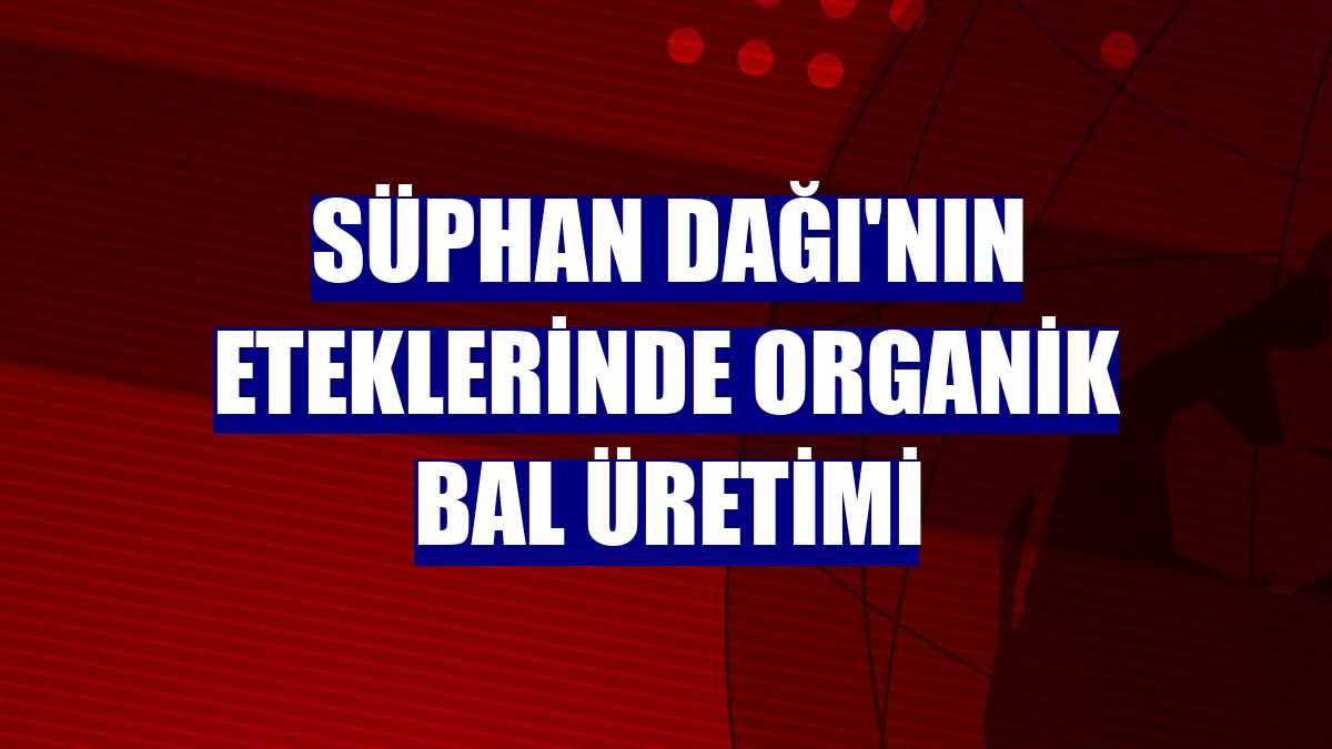 Süphan Dağı'nın eteklerinde organik bal üretimi