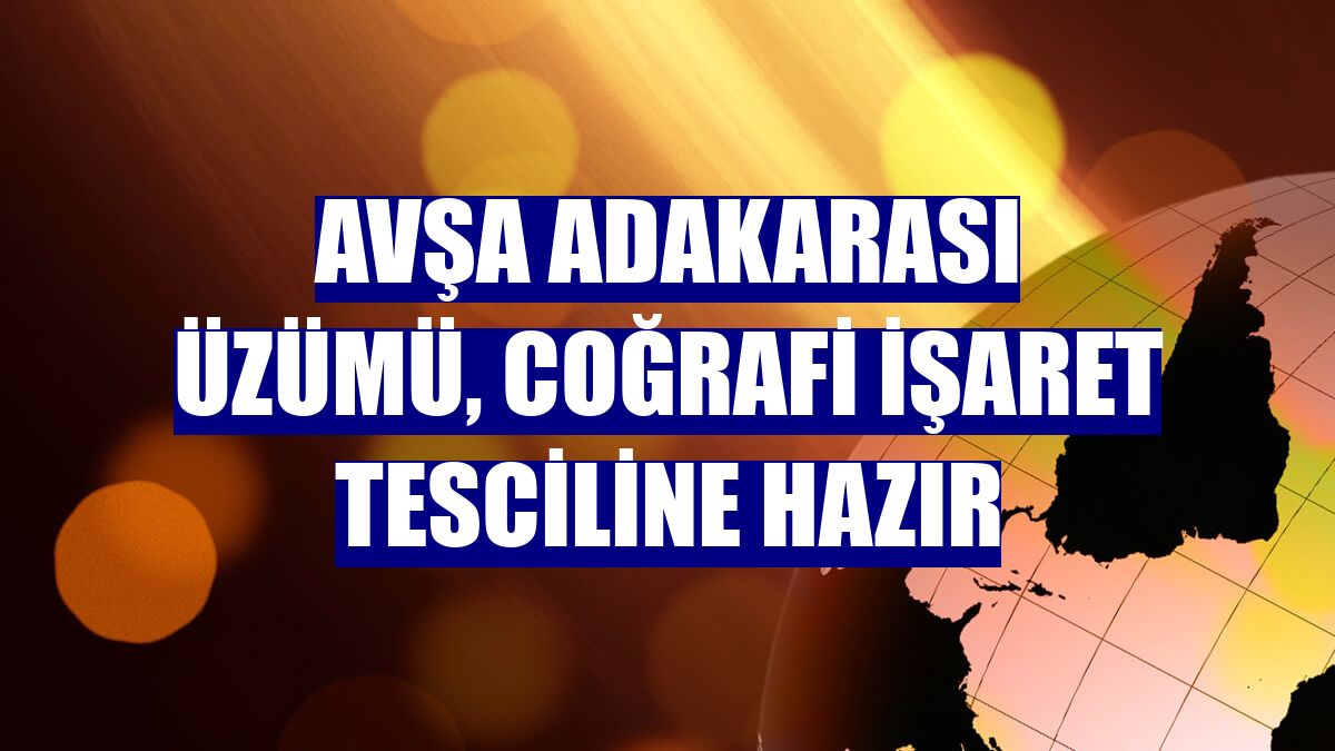 Avşa Adakarası üzümü, coğrafi işaret tesciline hazır