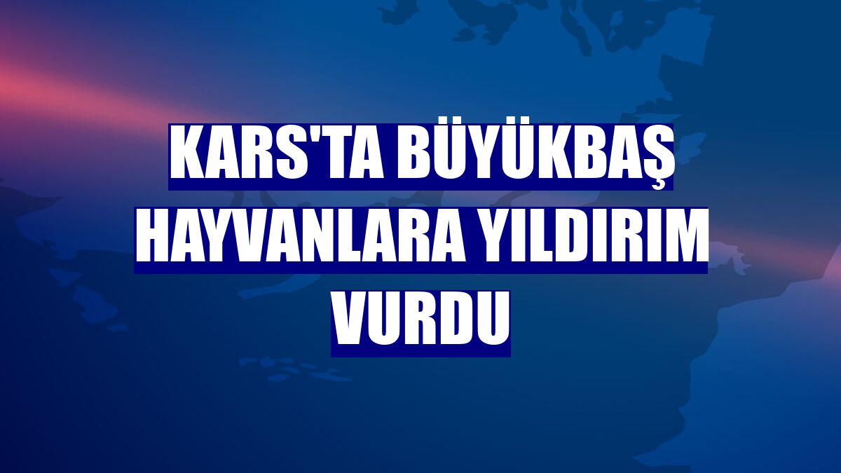 Kars'ta büyükbaş hayvanlara yıldırım vurdu