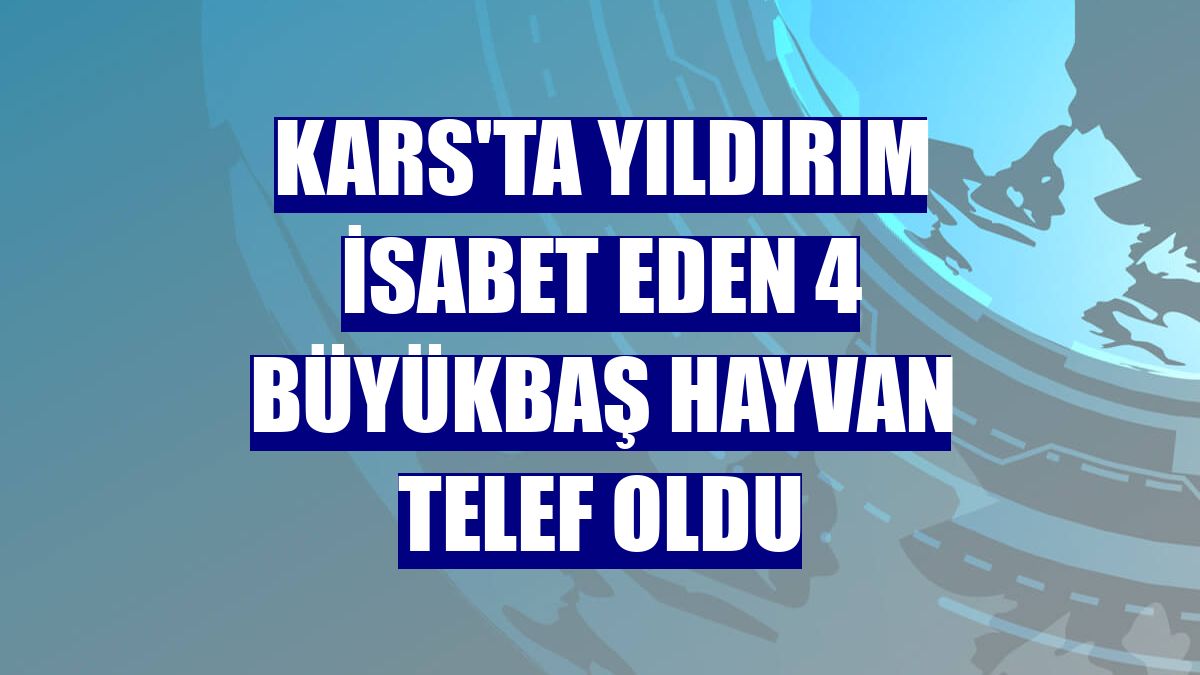 Kars'ta yıldırım isabet eden 4 büyükbaş hayvan telef oldu