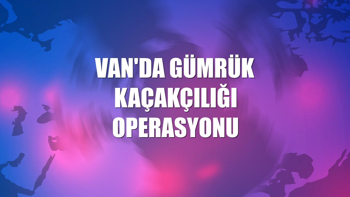 Van'da gümrük kaçakçılığı operasyonu
