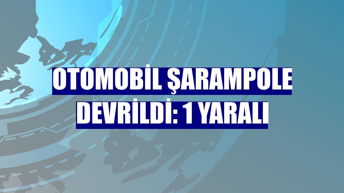 Otomobil şarampole devrildi: 1 yaralı