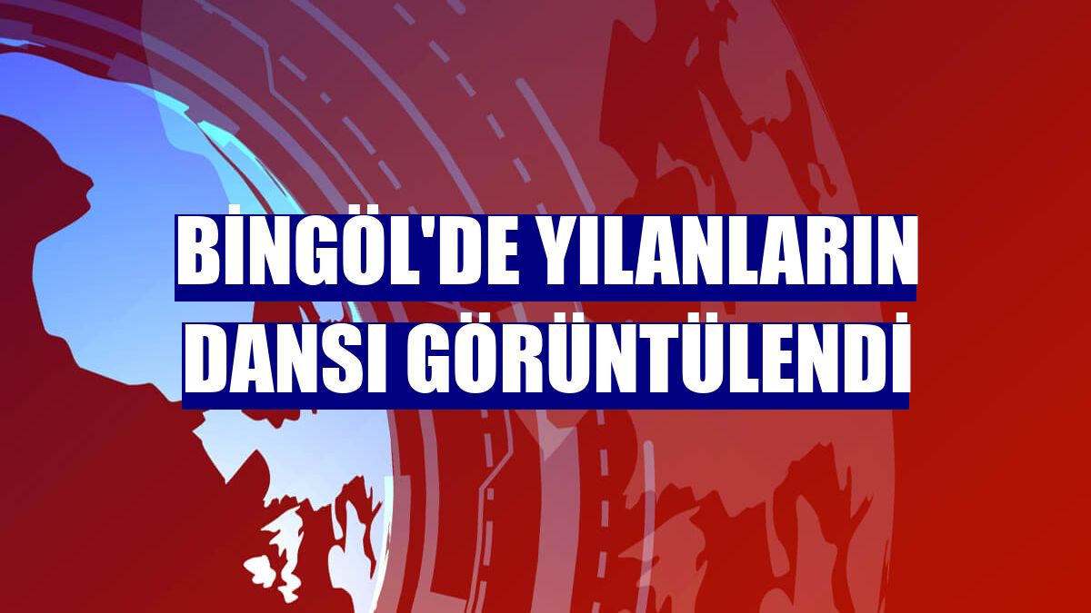 Bingöl'de yılanların dansı görüntülendi
