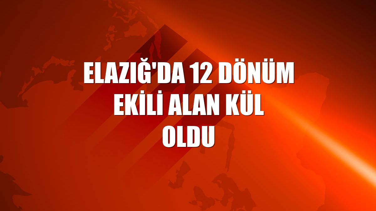 Elazığ'da 12 dönüm ekili alan kül oldu