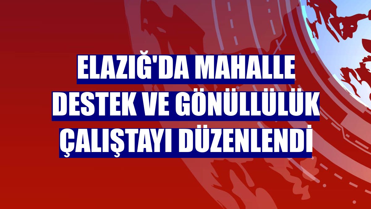 Elazığ'da Mahalle Destek ve Gönüllülük Çalıştayı düzenlendi