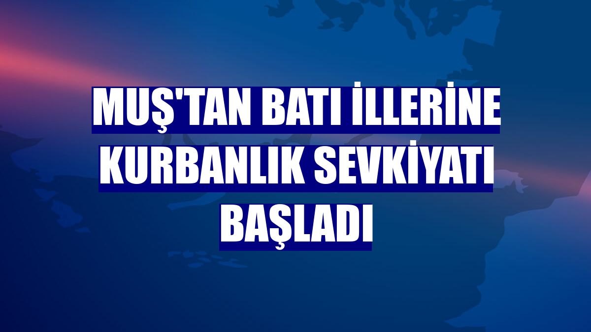 Muş'tan batı illerine kurbanlık sevkiyatı başladı