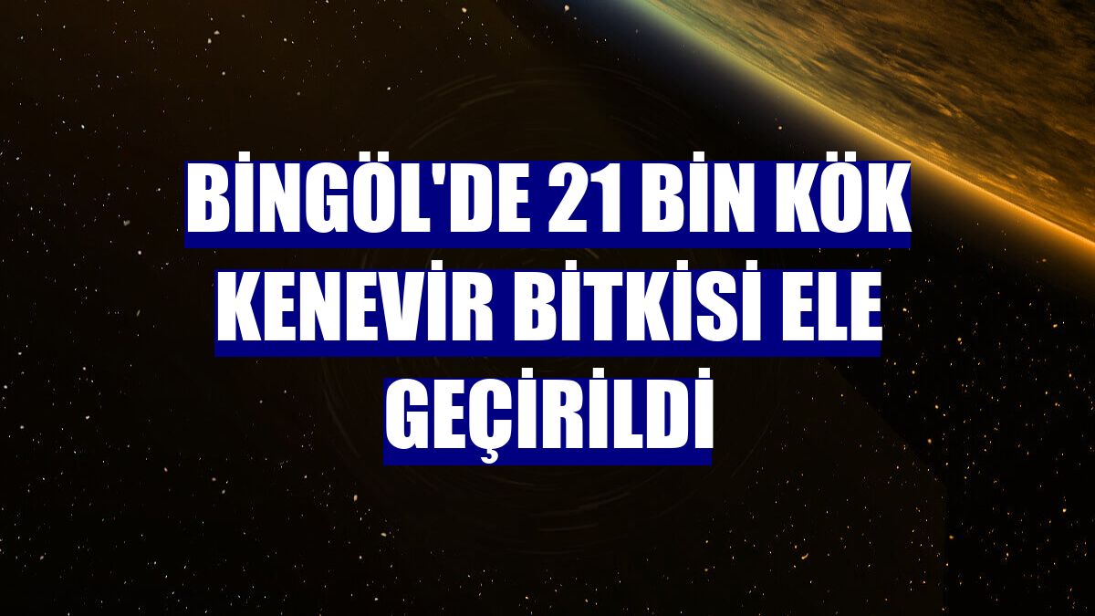 Bingöl'de 21 bin kök kenevir bitkisi ele geçirildi