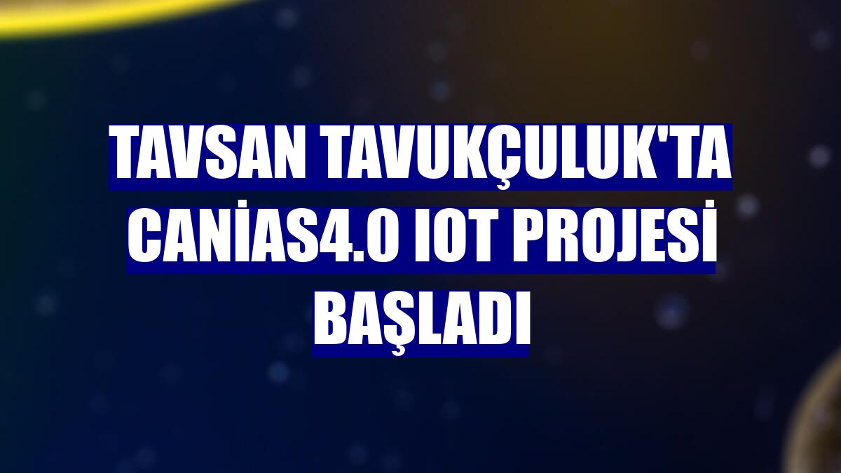 Tavsan Tavukçuluk'ta canias4.0 IoT projesi başladı