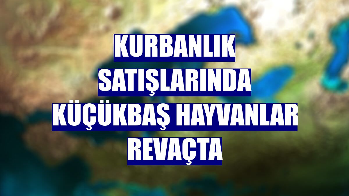 Kurbanlık satışlarında küçükbaş hayvanlar revaçta