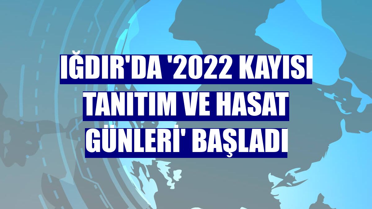 Iğdır'da '2022 kayısı tanıtım ve hasat günleri' başladı