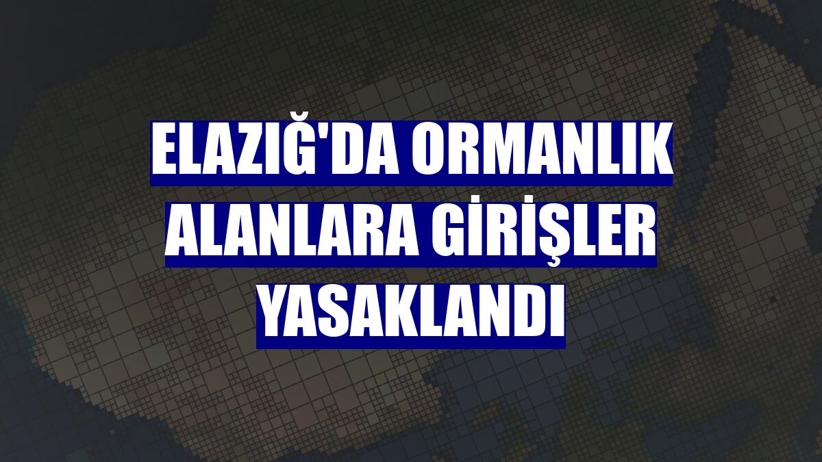 Elazığ'da ormanlık alanlara girişler yasaklandı