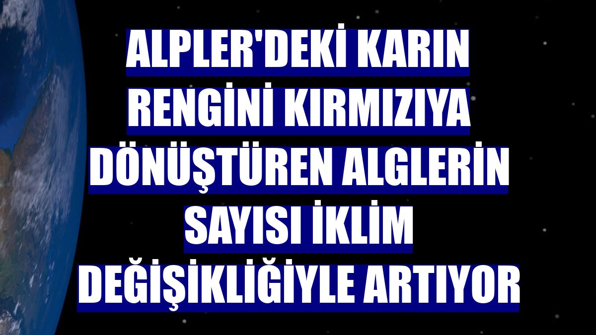 Alpler'deki karın rengini kırmızıya dönüştüren alglerin sayısı iklim değişikliğiyle artıyor