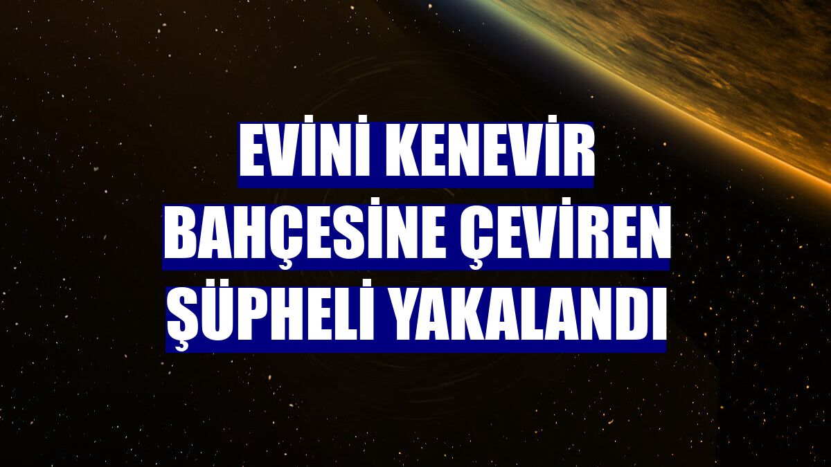 Evini kenevir bahçesine çeviren şüpheli yakalandı