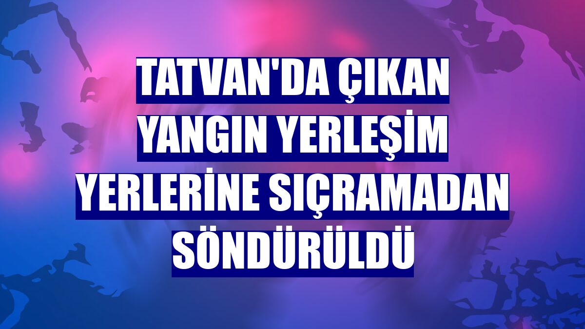 Tatvan'da çıkan yangın yerleşim yerlerine sıçramadan söndürüldü