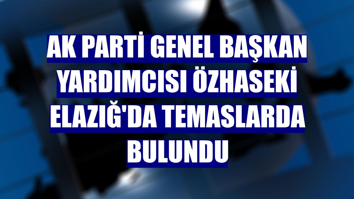 AK Parti Genel Başkan Yardımcısı Özhaseki Elazığ'da temaslarda bulundu