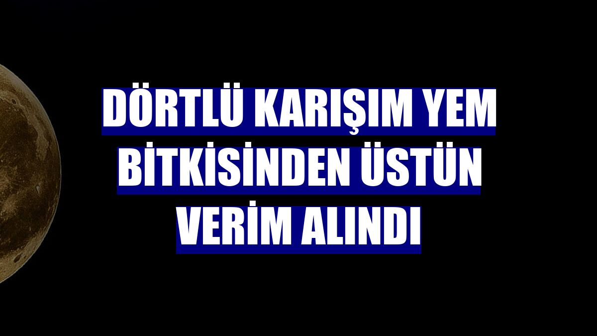 Dörtlü karışım yem bitkisinden üstün verim alındı