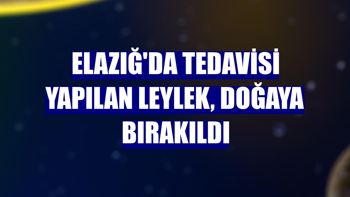 Elazığ'da tedavisi yapılan leylek, doğaya bırakıldı