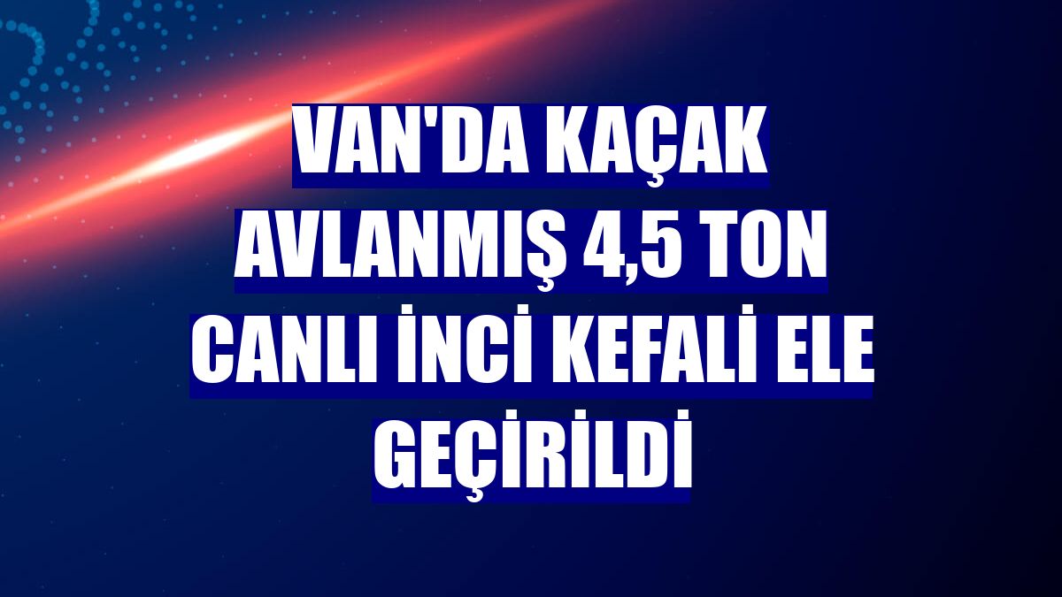 Van'da kaçak avlanmış 4,5 ton canlı inci kefali ele geçirildi