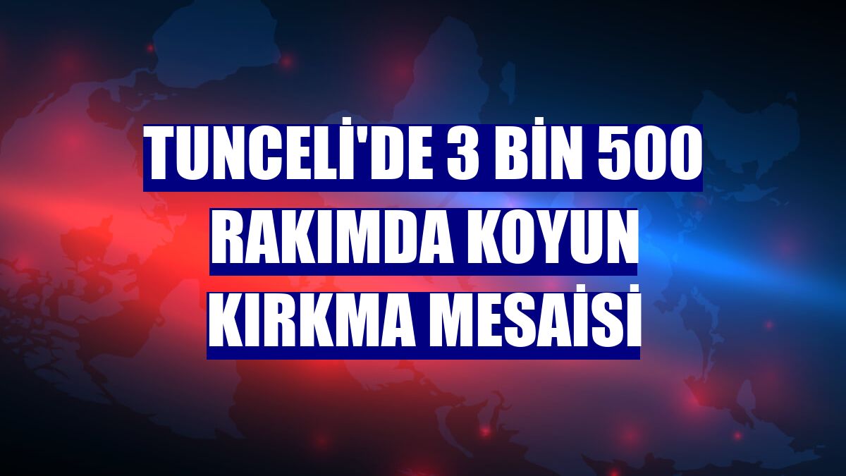Tunceli'de 3 bin 500 rakımda koyun kırkma mesaisi