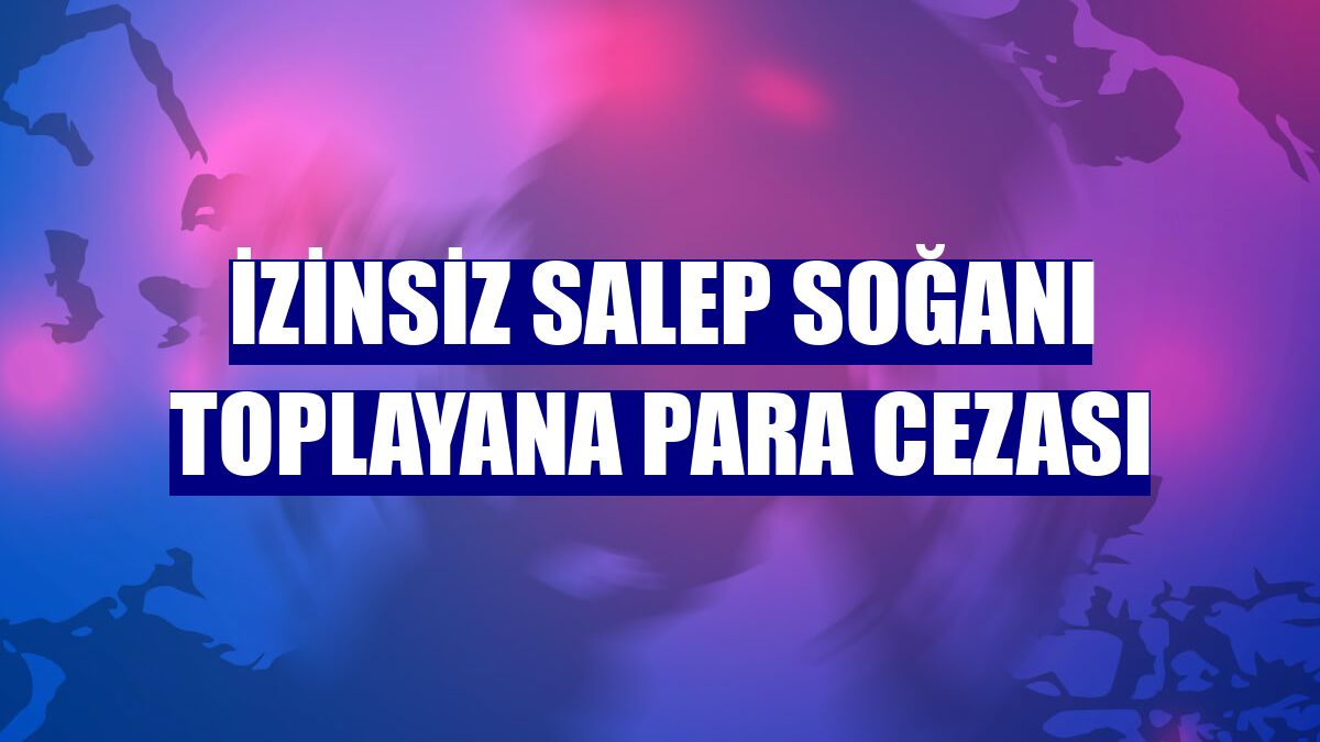 İzinsiz salep soğanı toplayana para cezası