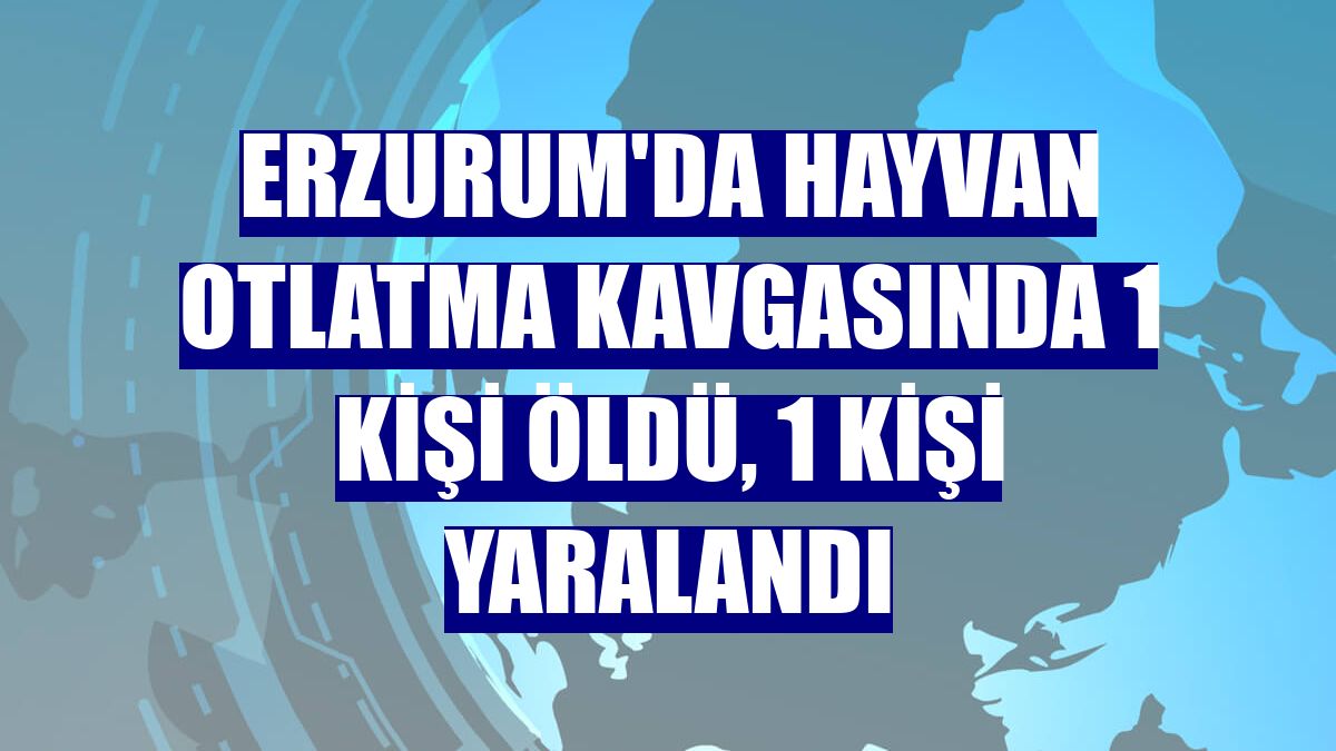 Erzurum'da hayvan otlatma kavgasında 1 kişi öldü, 1 kişi yaralandı
