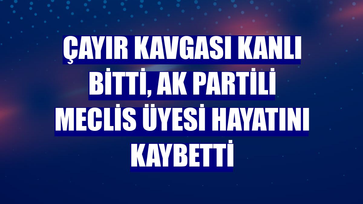 Çayır kavgası kanlı bitti, AK Partili Meclis üyesi hayatını kaybetti