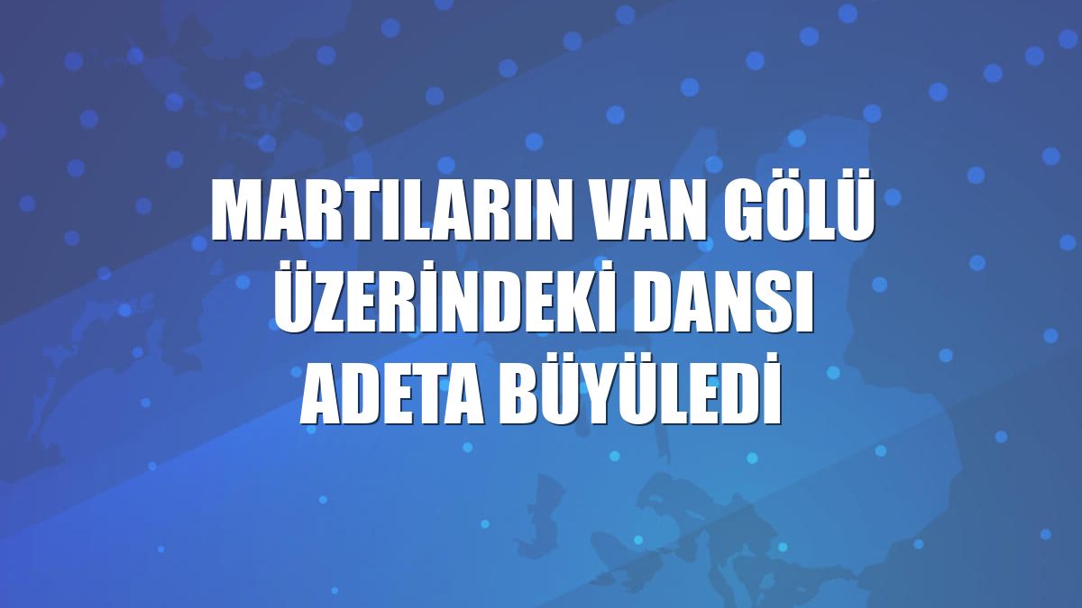 Martıların Van Gölü üzerindeki dansı adeta büyüledi