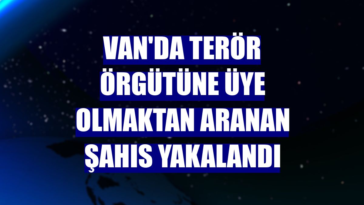 Van'da terör örgütüne üye olmaktan aranan şahıs yakalandı