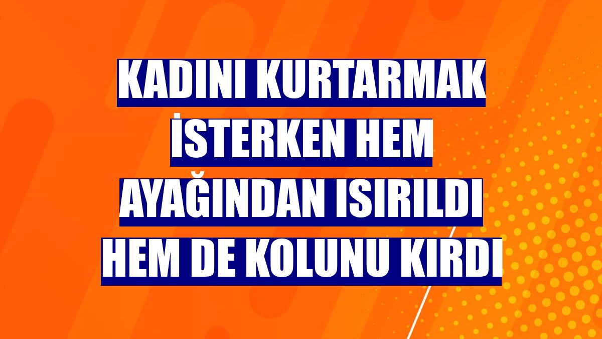 Kadını kurtarmak isterken hem ayağından ısırıldı hem de kolunu kırdı