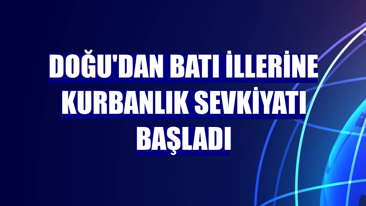 Doğu'dan batı illerine kurbanlık sevkiyatı başladı
