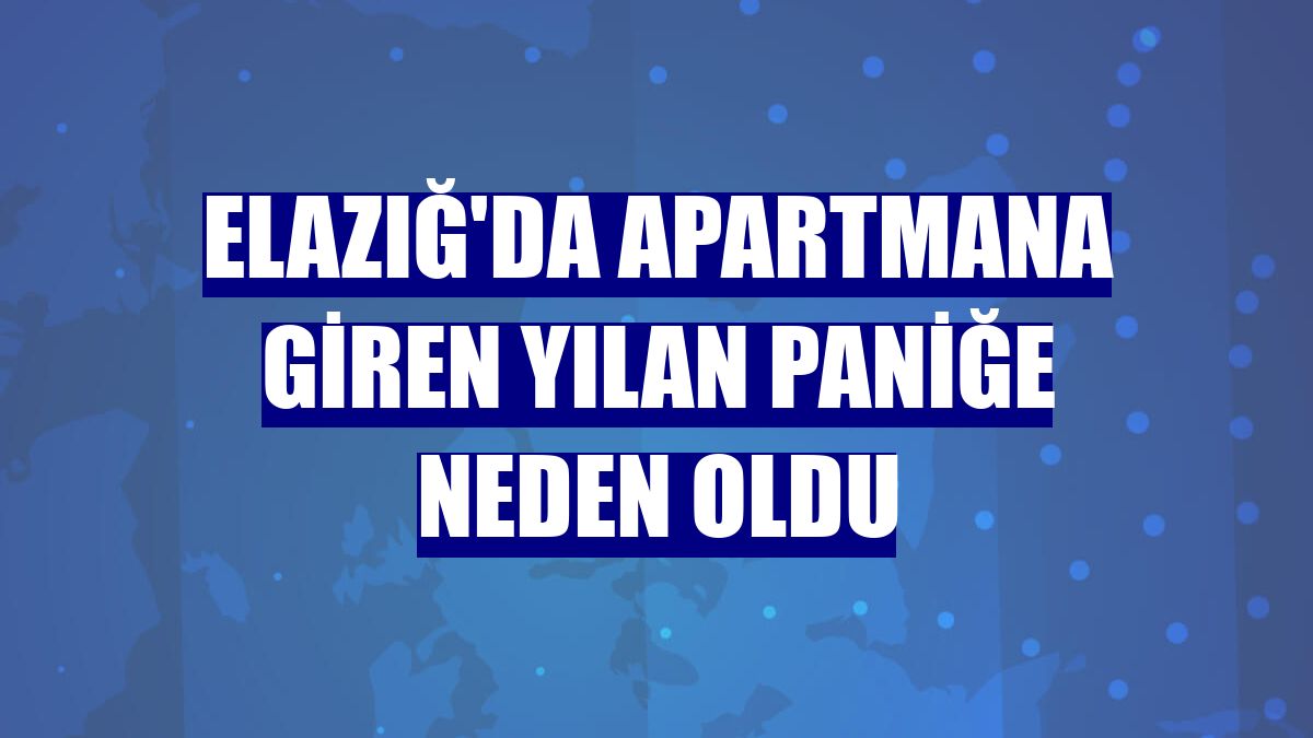 Elazığ'da apartmana giren yılan paniğe neden oldu