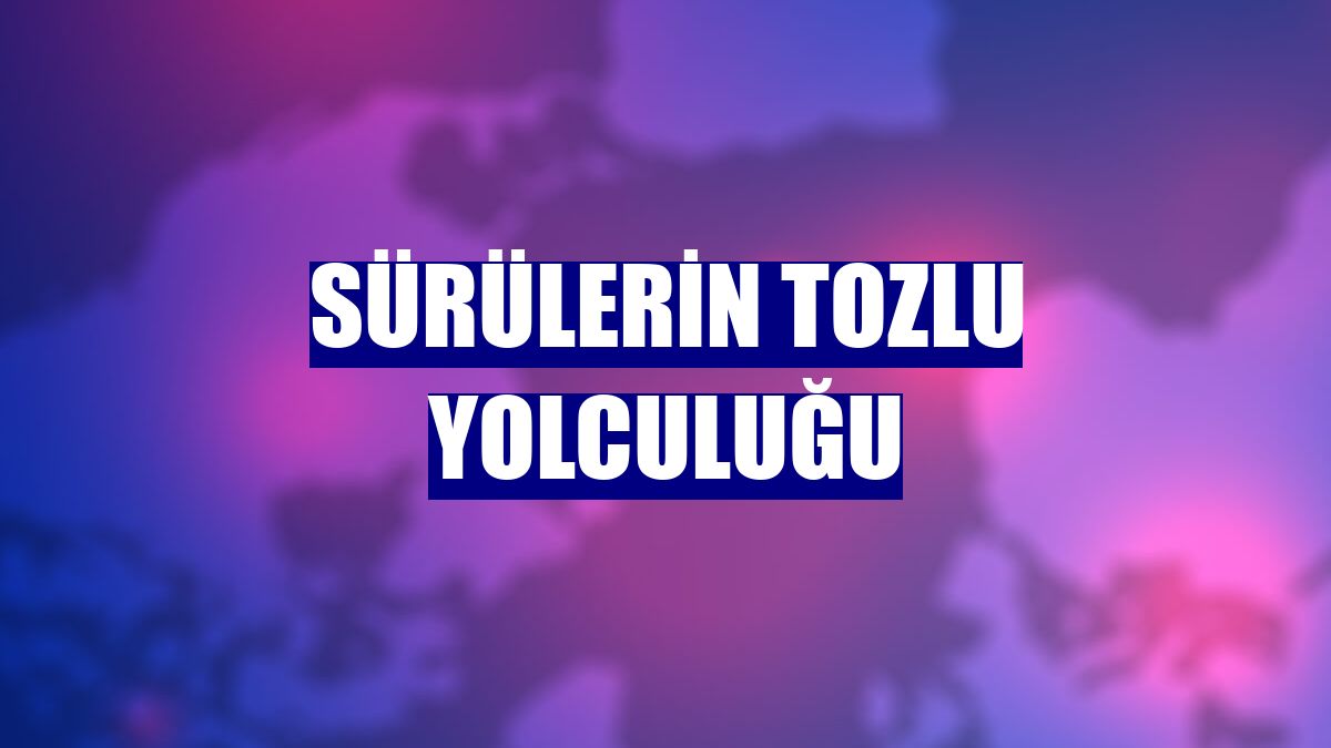 Sürülerin tozlu yolculuğu