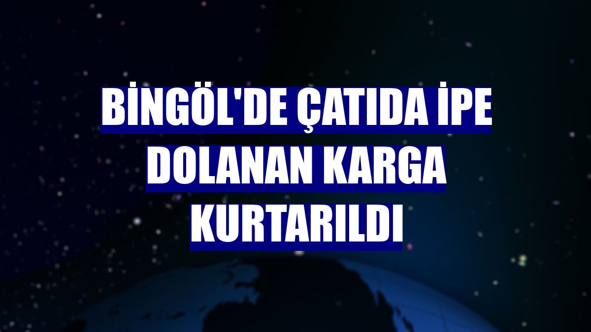 Bingöl'de çatıda ipe dolanan karga kurtarıldı