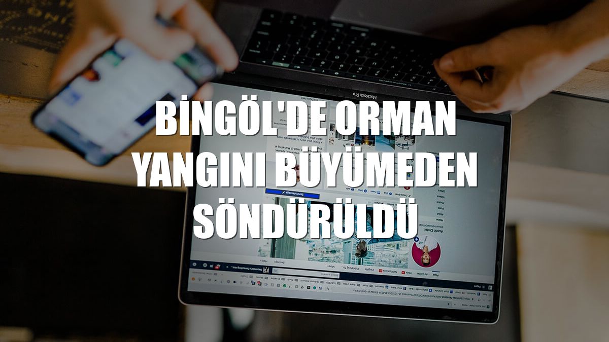 Bingöl'de orman yangını büyümeden söndürüldü