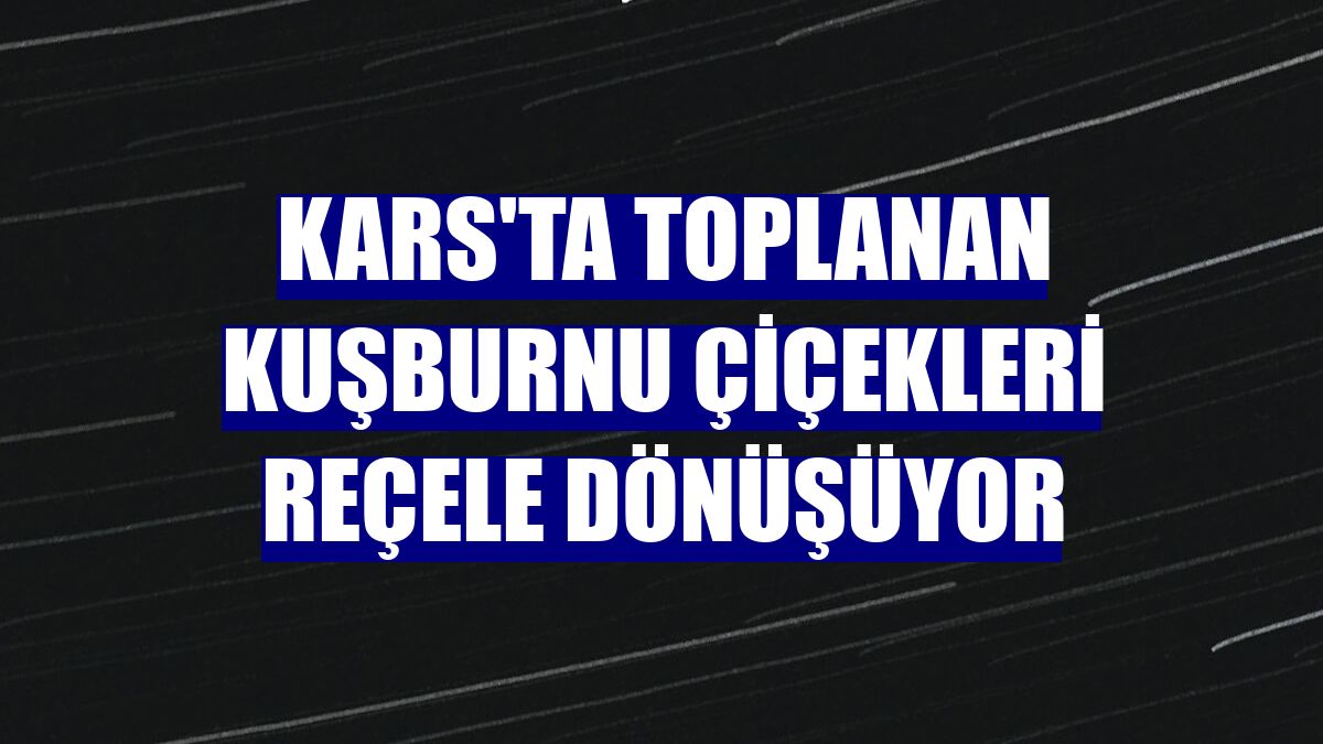 Kars'ta toplanan kuşburnu çiçekleri reçele dönüşüyor