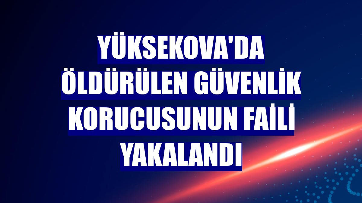 Yüksekova'da öldürülen güvenlik korucusunun faili yakalandı