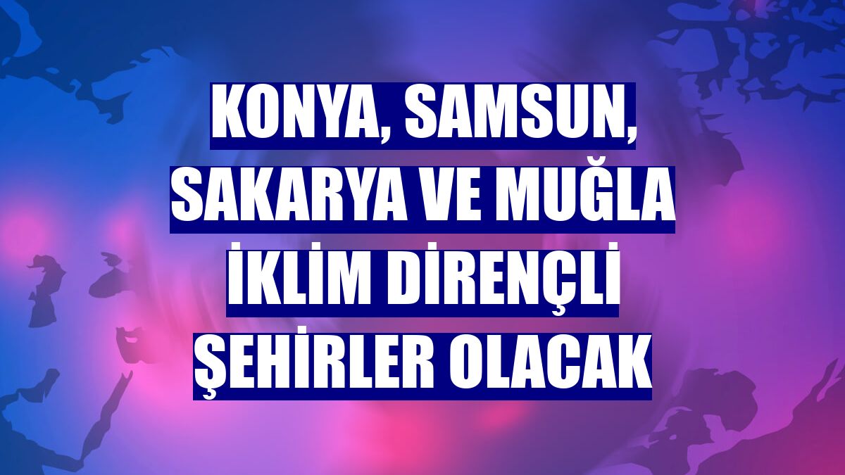 Konya, Samsun, Sakarya ve Muğla iklim dirençli şehirler olacak