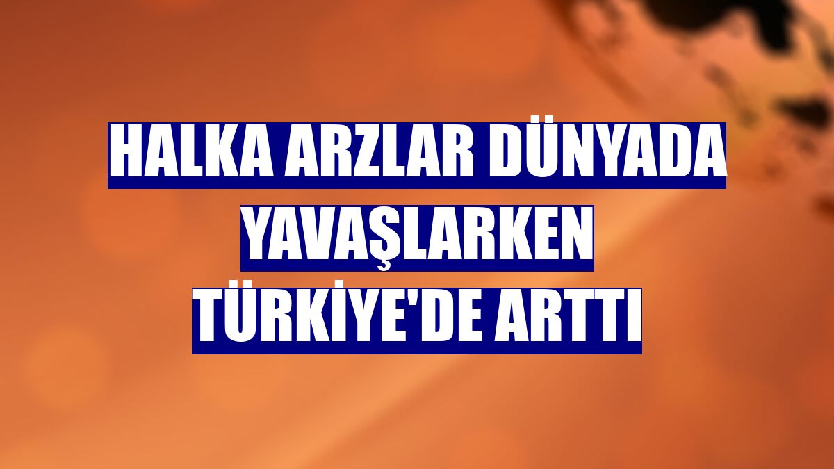 Halka arzlar dünyada yavaşlarken Türkiye'de arttı