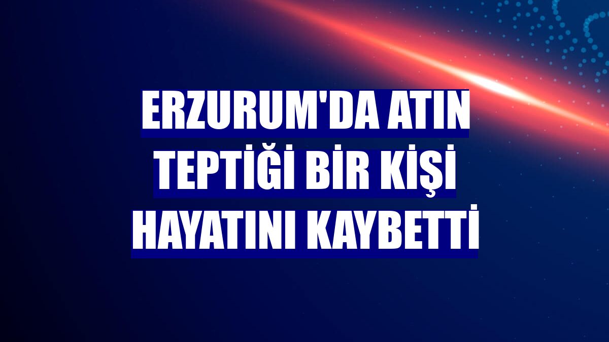 Erzurum'da atın teptiği bir kişi hayatını kaybetti