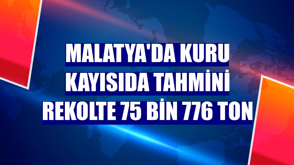 Malatya'da kuru kayısıda tahmini rekolte 75 bin 776 ton